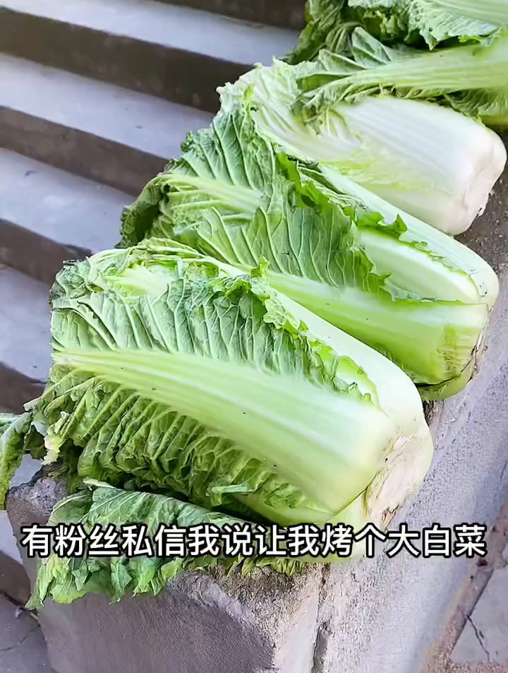 烤白菜教程 万物皆可烤