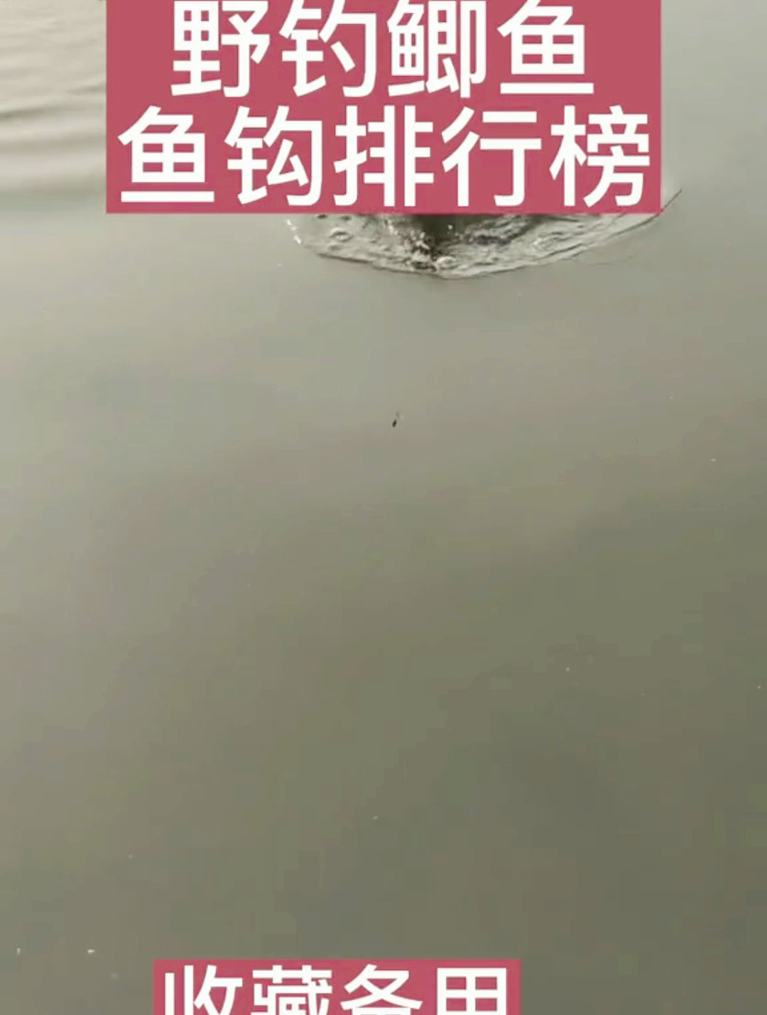 野钓鲫鱼,鱼钩排行榜
