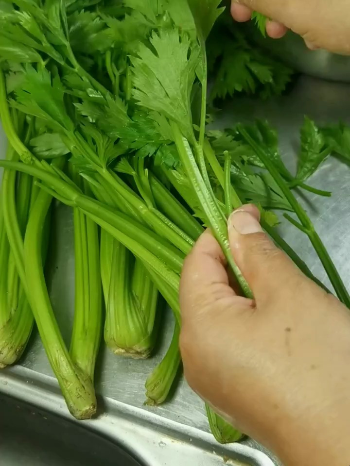 冻芹菜的储存方法存上一年都这么翠绿