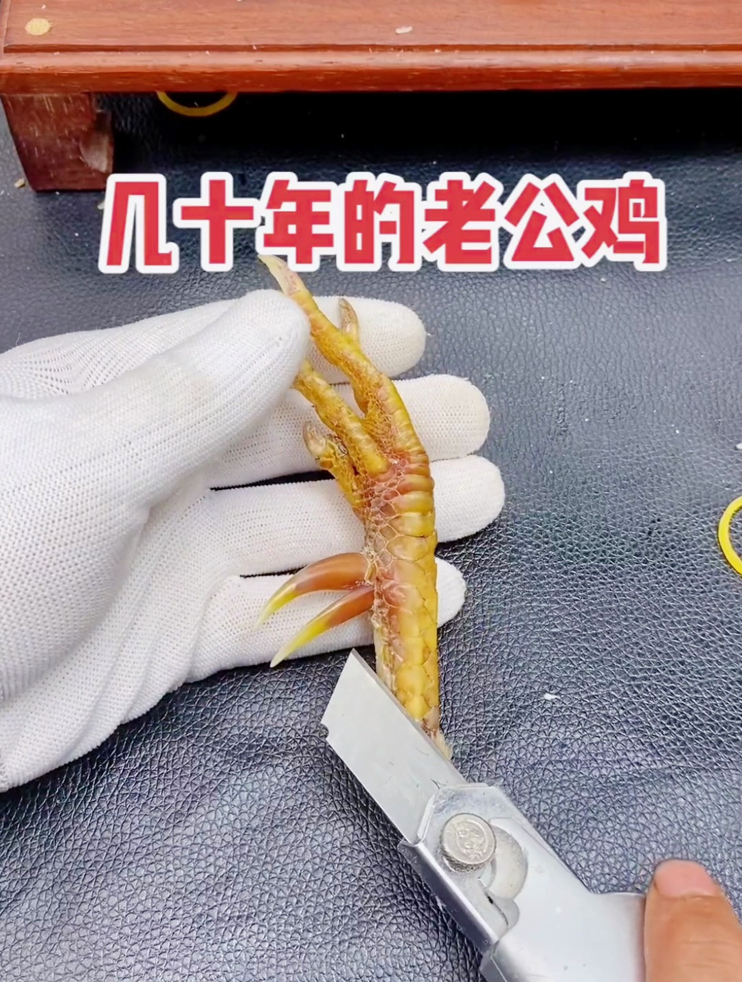 文玩鸡爪骨,文玩鸡蹬子,漂亮吗?