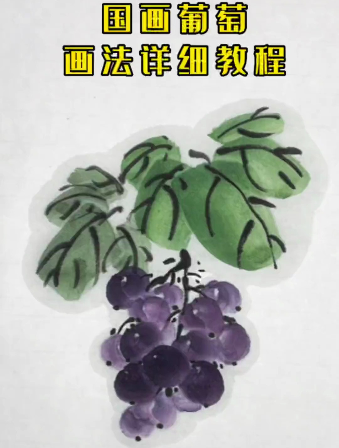 国画葡萄画法详细教程