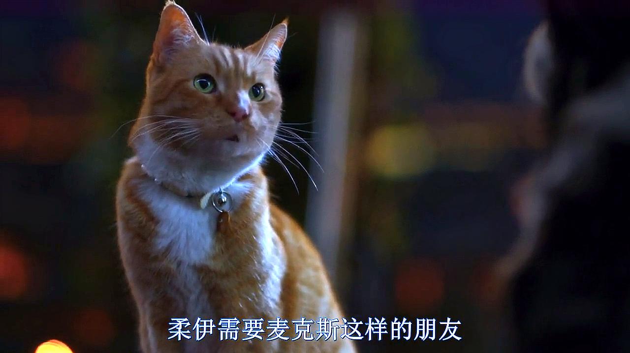 [图]猫狗大战3:爪爪集结!