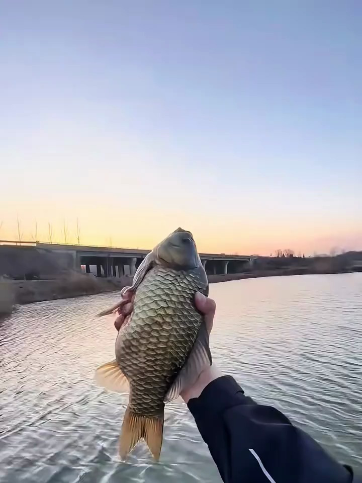 用这样串钩钓鲫鱼无忧,让空军成为笑谈!