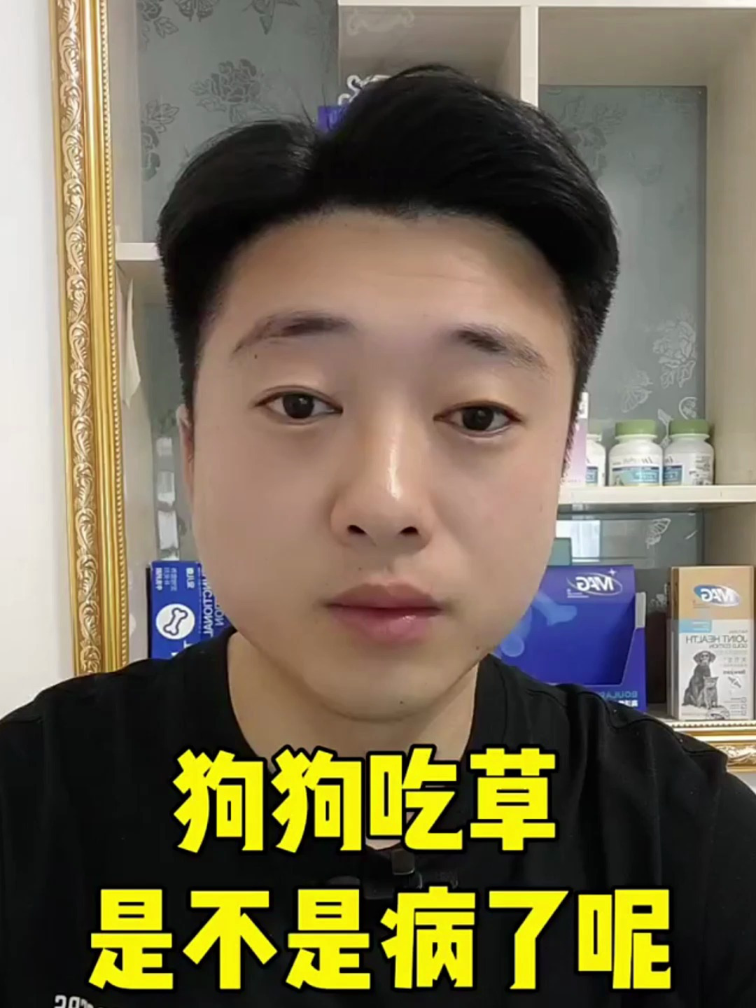 你家的狗狗有吃草吗?吃草的原因以及解决方法