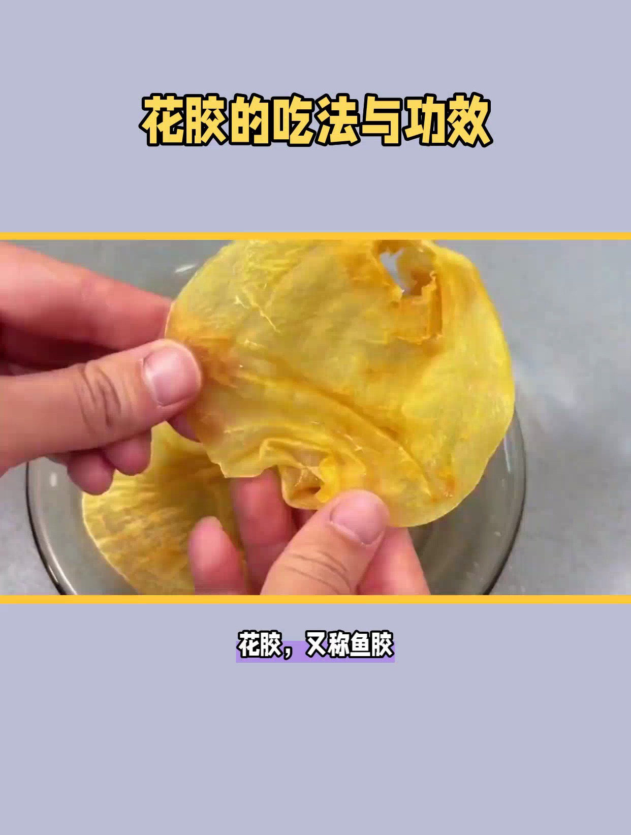 花胶美食攻略,吃法与做法一网打尽,让你尽享滋补美味!