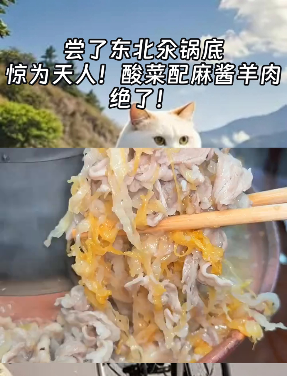 尝了东北汆锅底,惊为天人!酸菜配麻酱羊肉,绝了!