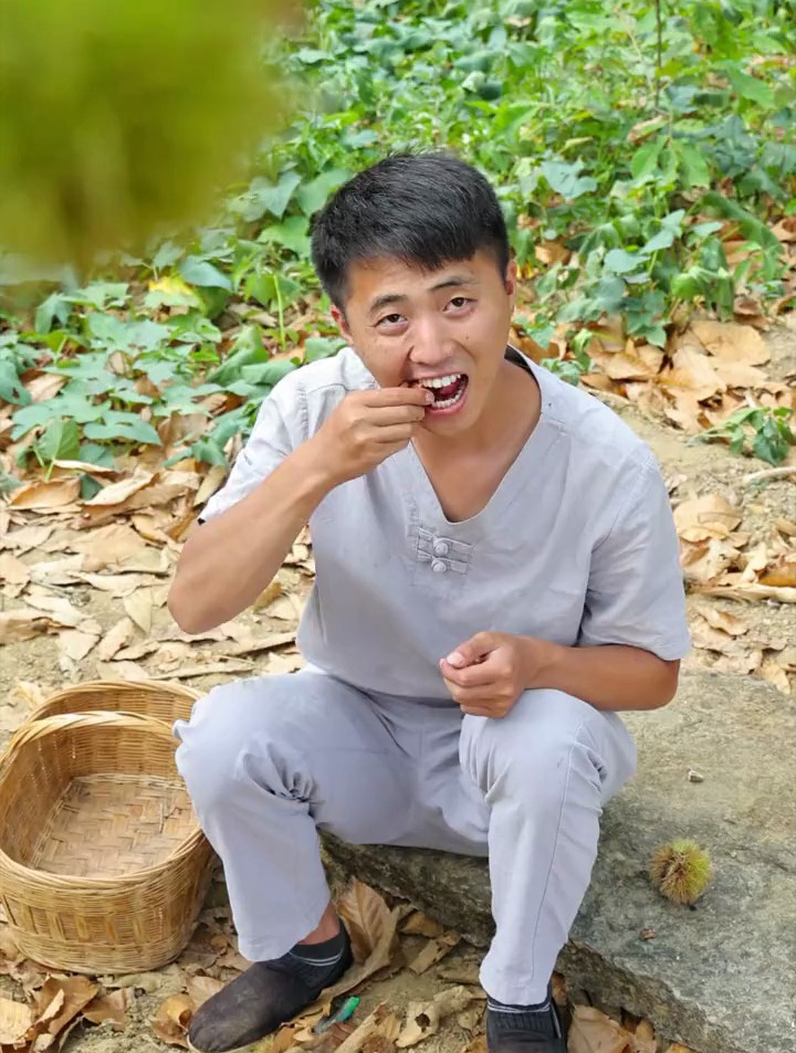 板栗成熟啦 做了一个板栗糕和香喷喷的板栗烧鸡,有爱吃板栗的吗