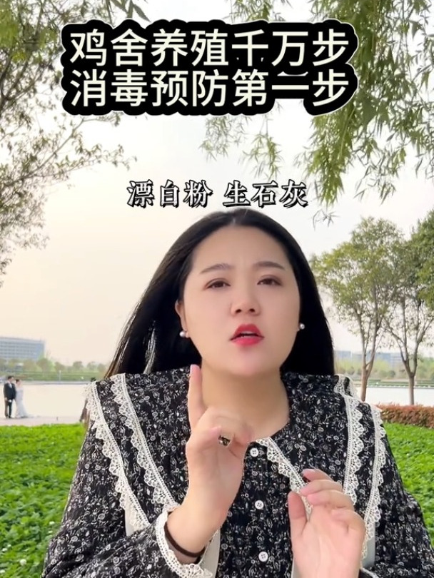 鸡场消毒鸡舍消毒剂过硫酸氢钾非克小鸡消毒