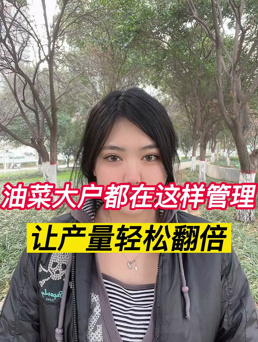 油菜大户这样管理,产量轻松翻倍