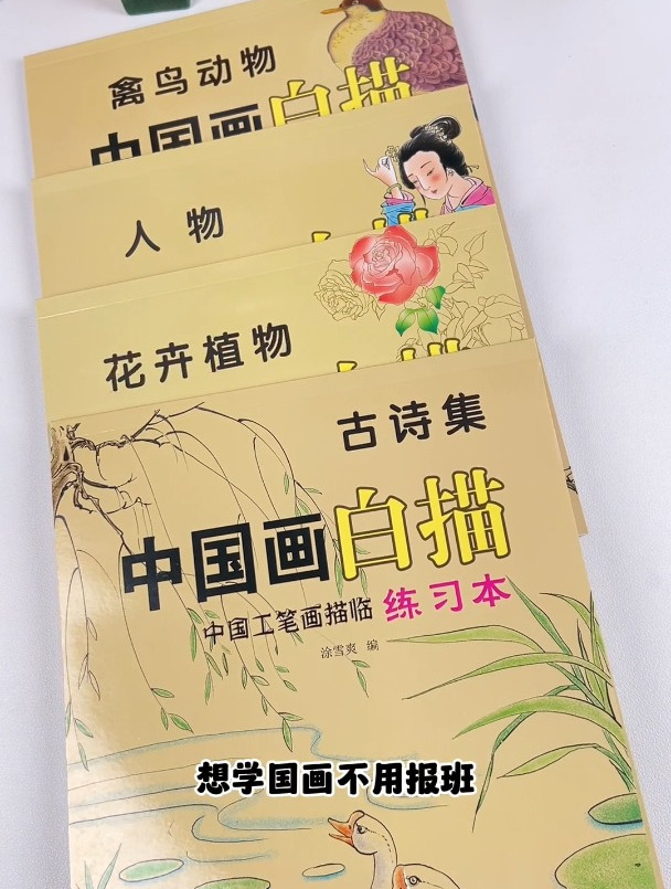 中国画白描,初学者入门,花卉植物禽鸟动物人物山水,孩子喜欢画