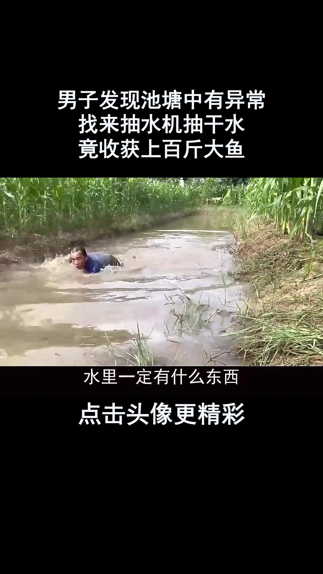 男子发现池塘中有异常,找来抽水机抽干水,竟收获上百斤大鱼