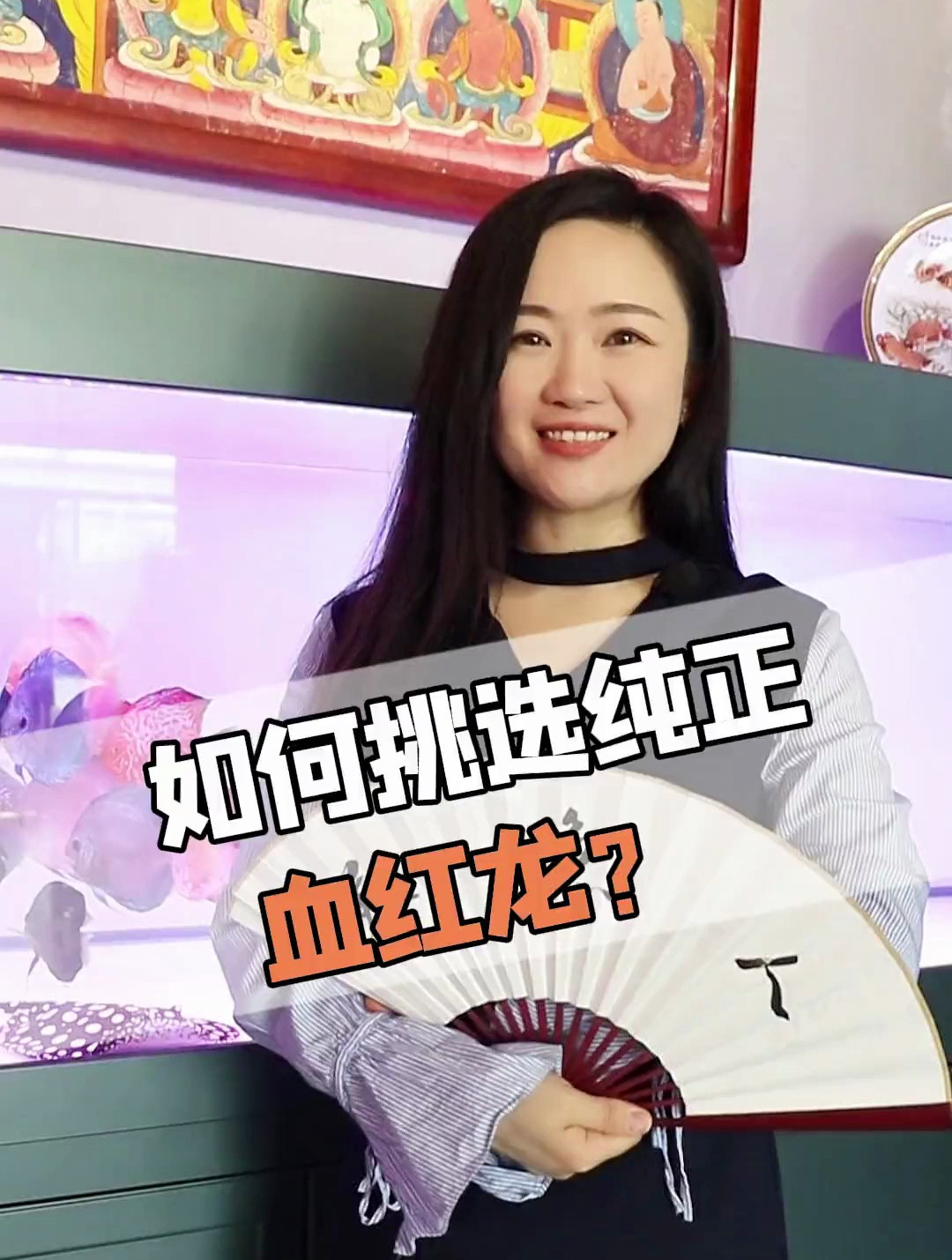 如何挑选纯正血红龙?