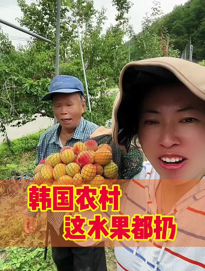 今天又是一顿简单的午饭用个石锅拌饭酱拌面条 做炒年糕都好吃