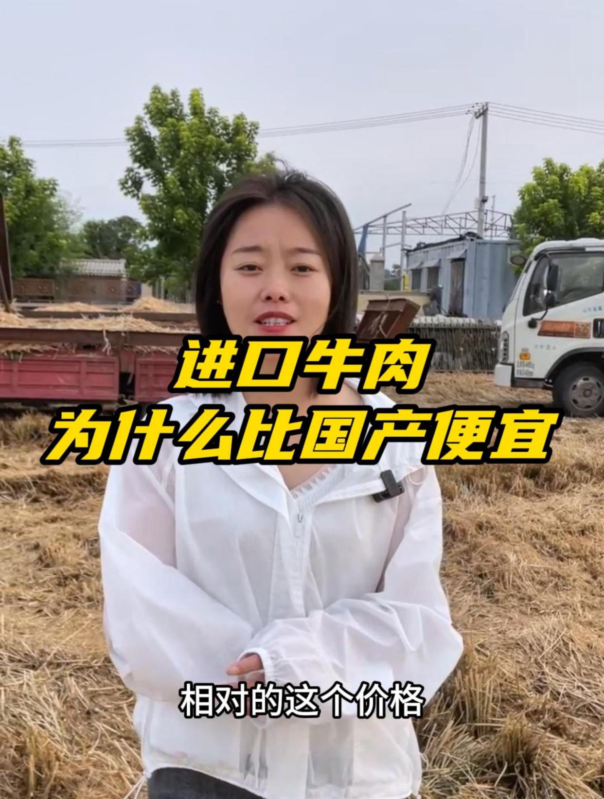 进口牛肉加上关税,为什么还比国内牛肉便宜 三农 养牛人 新农人