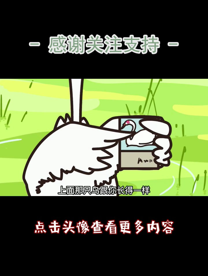 丑小鸭终于变成了白天鹅~生童话记得分享收藏