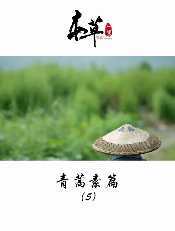 来源于中医的古典智慧,是否能为世界换取更多生的希望?