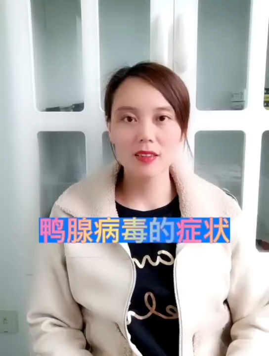 禽医恒艳谈鸭腺病毒病的症状有哪些如何防治