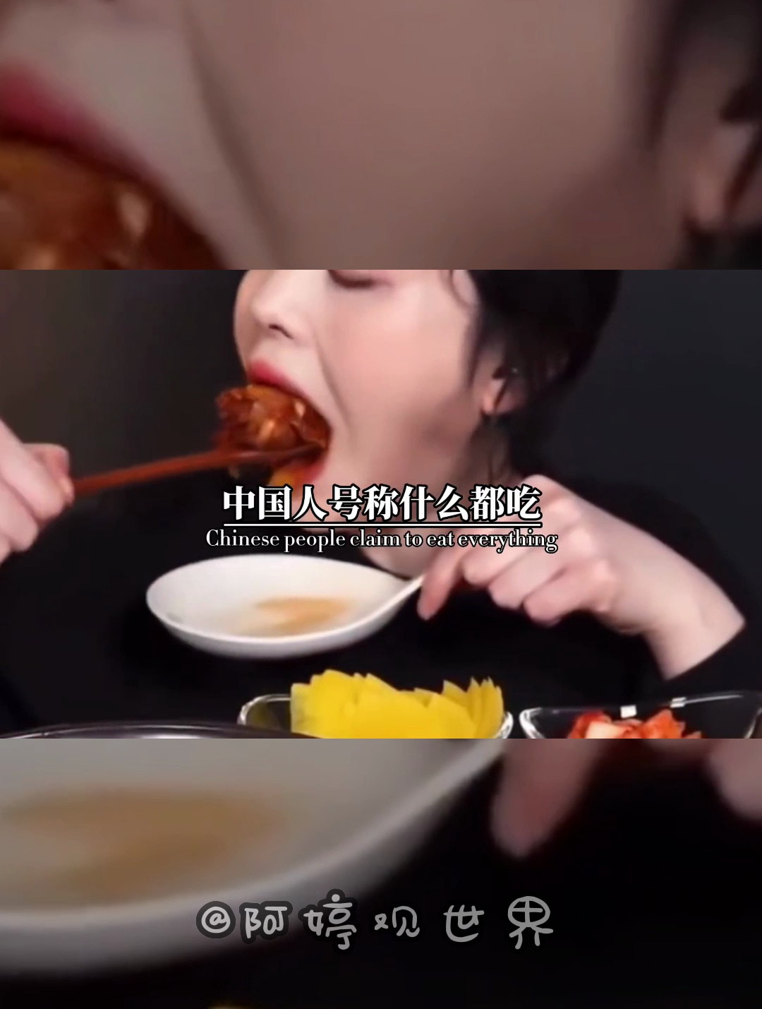 什么都吃却不吃猫肉