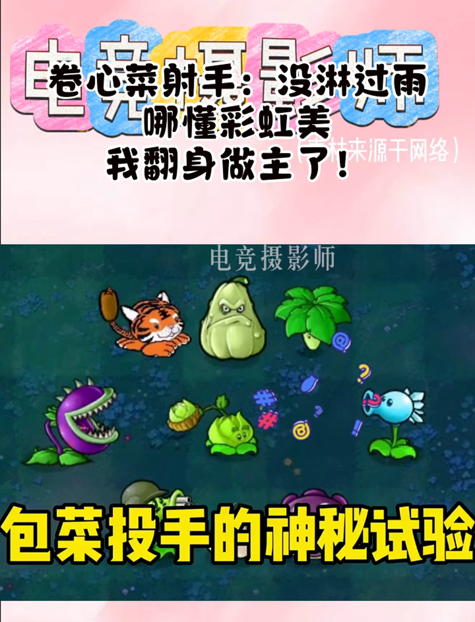 卷心菜射手:没淋过雨,哪懂彩虹美,我翻身做主了!