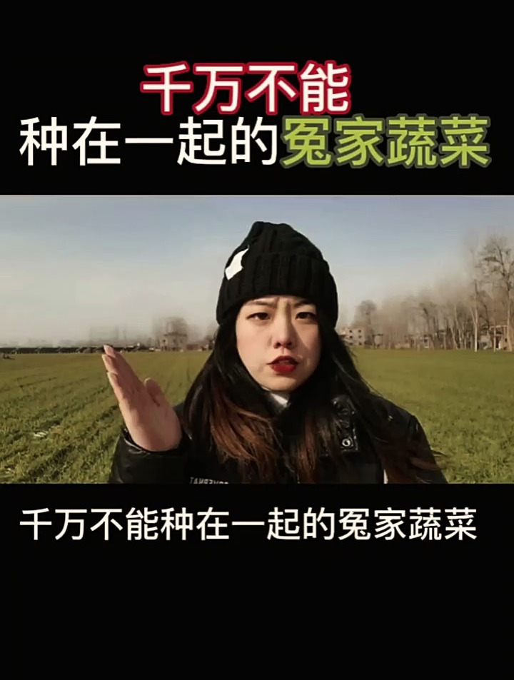 千万不能种在一起的冤家蔬菜,轻则相生相克,重则死根烂苗!