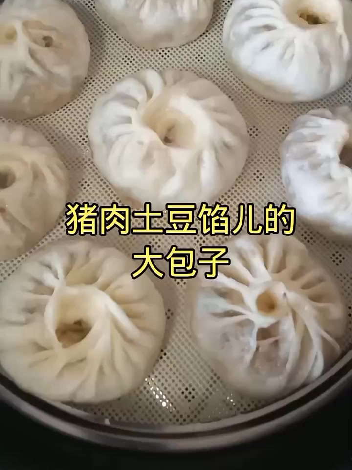 我家宝贝的最爱-猪肉土豆馅的大包子-记录我的生活