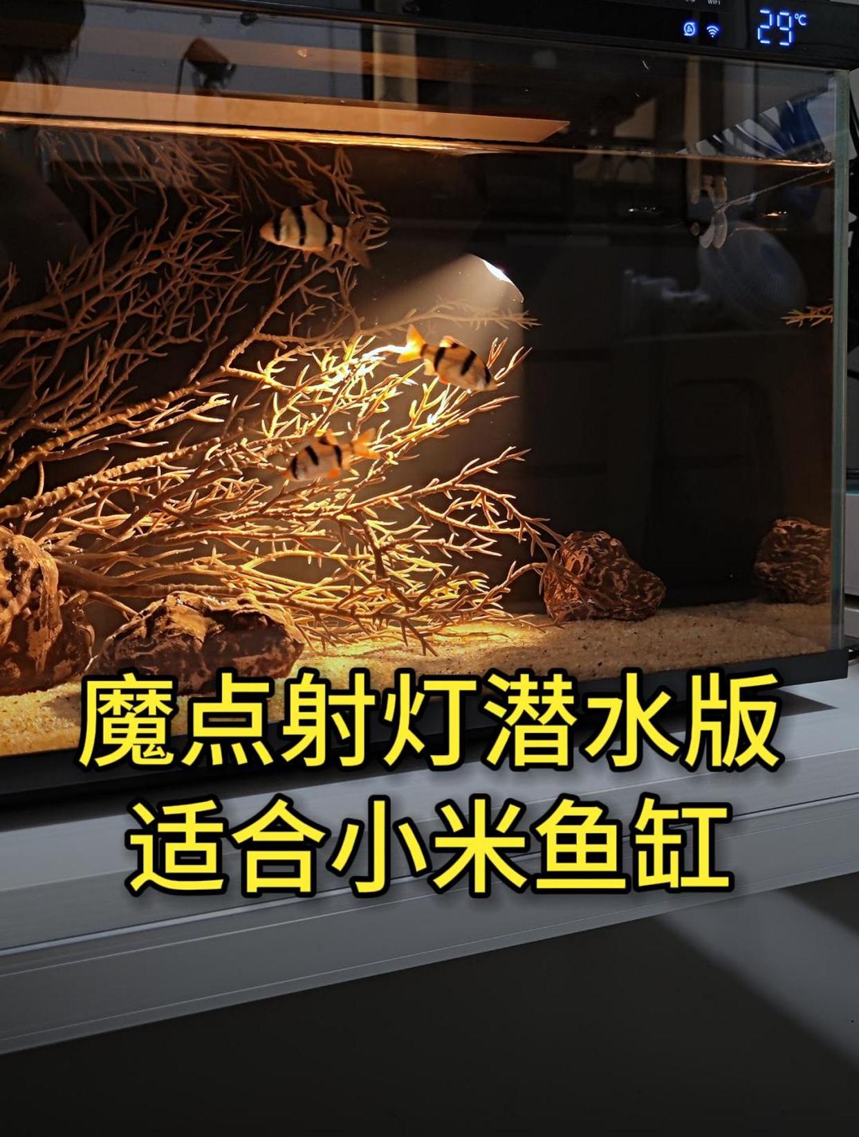 很适合小米鱼缸的魔点鱼缸射灯潜水版,直接水下使用,太牛了