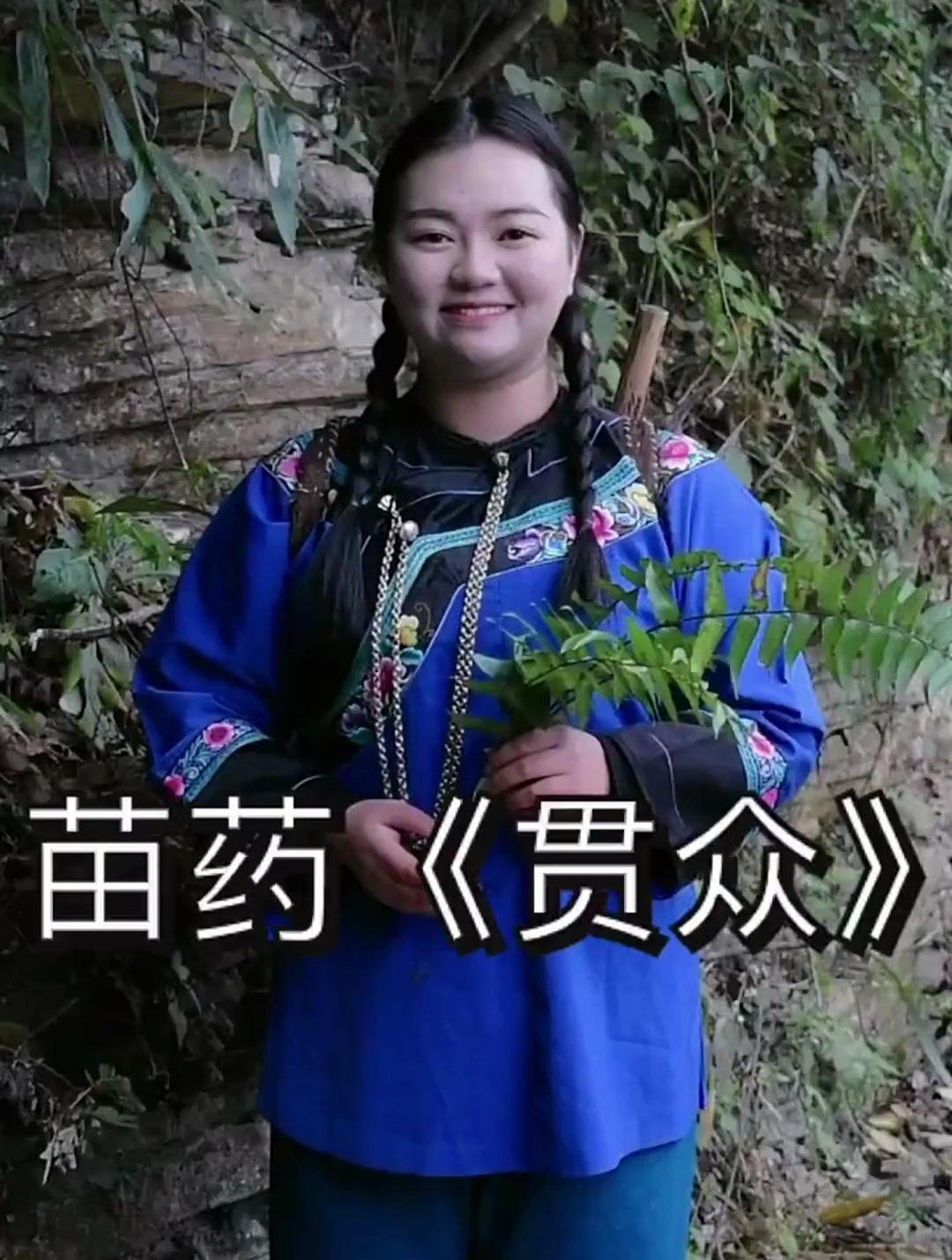 小贯众也叫公鸡头,有点下毛毛雨,还是上山给大家分享了