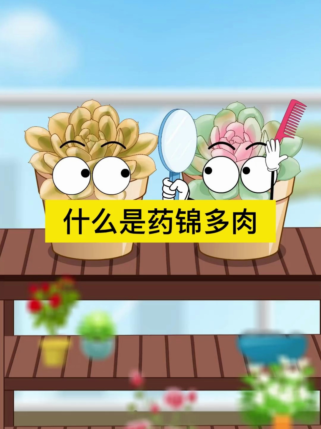 你知道什么是药锦多肉吗