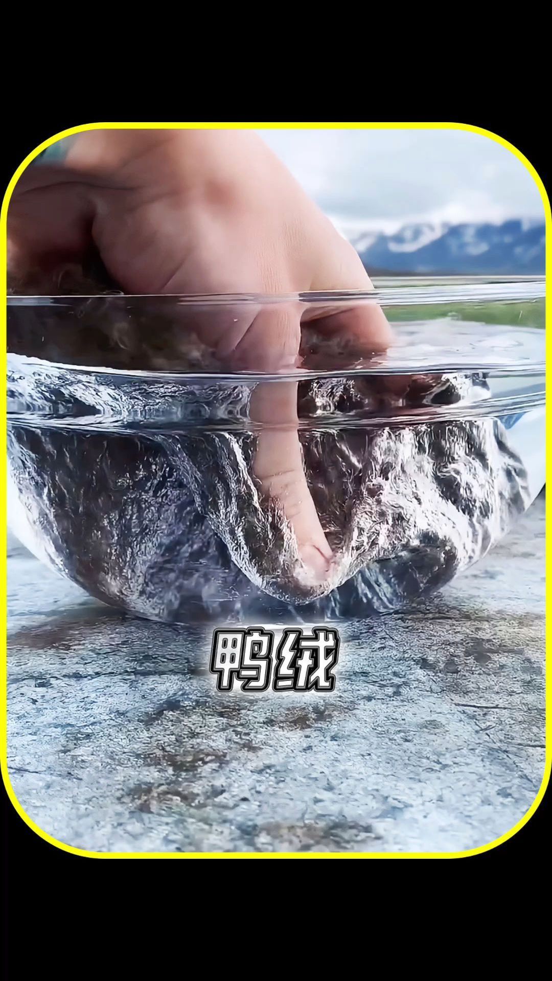 鸭绒到底有何珍贵之处?鸭绒被为什么那么贵?