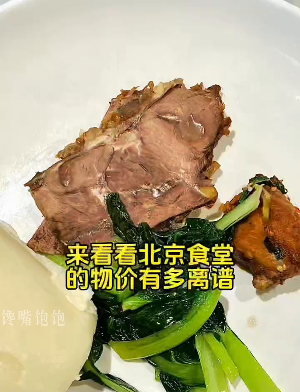 北京饭堂的菜价咋样?两肉一菜……