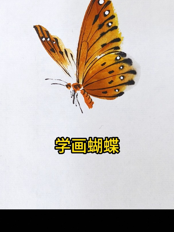 国画写意黄色蝴蝶,很漂亮吧