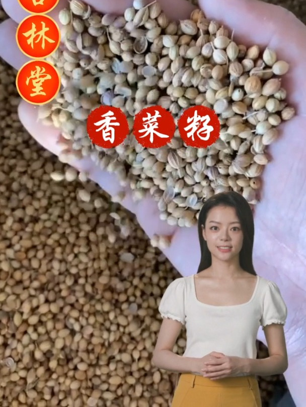 香菜籽的作用和选择,欢迎家人们一起来了解