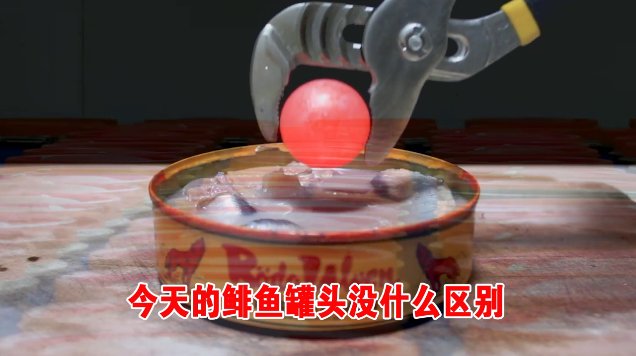 今天的我们说的是鲱鱼罐头