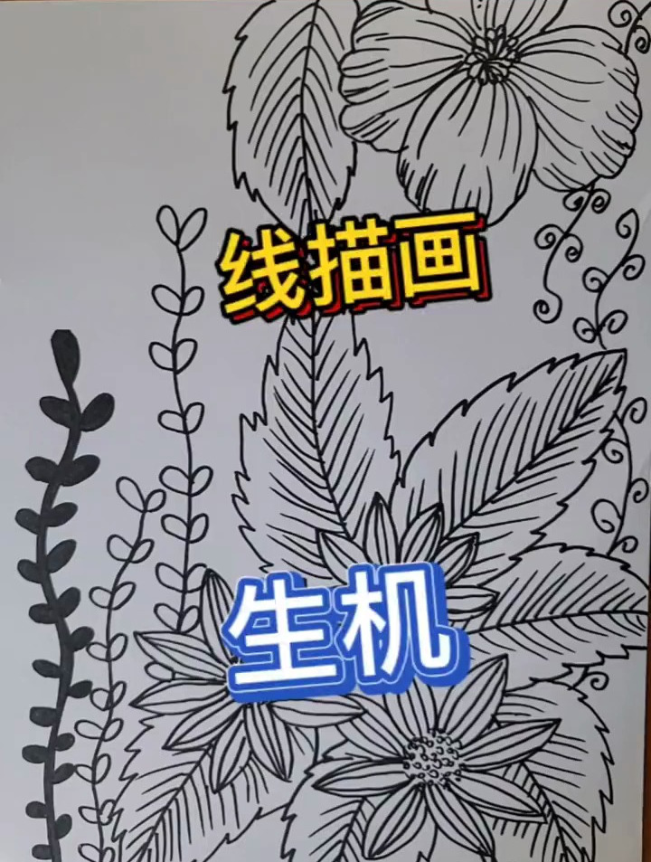 黑白线描画 这次主要是线面结合 一起学画画 少儿美术教育
