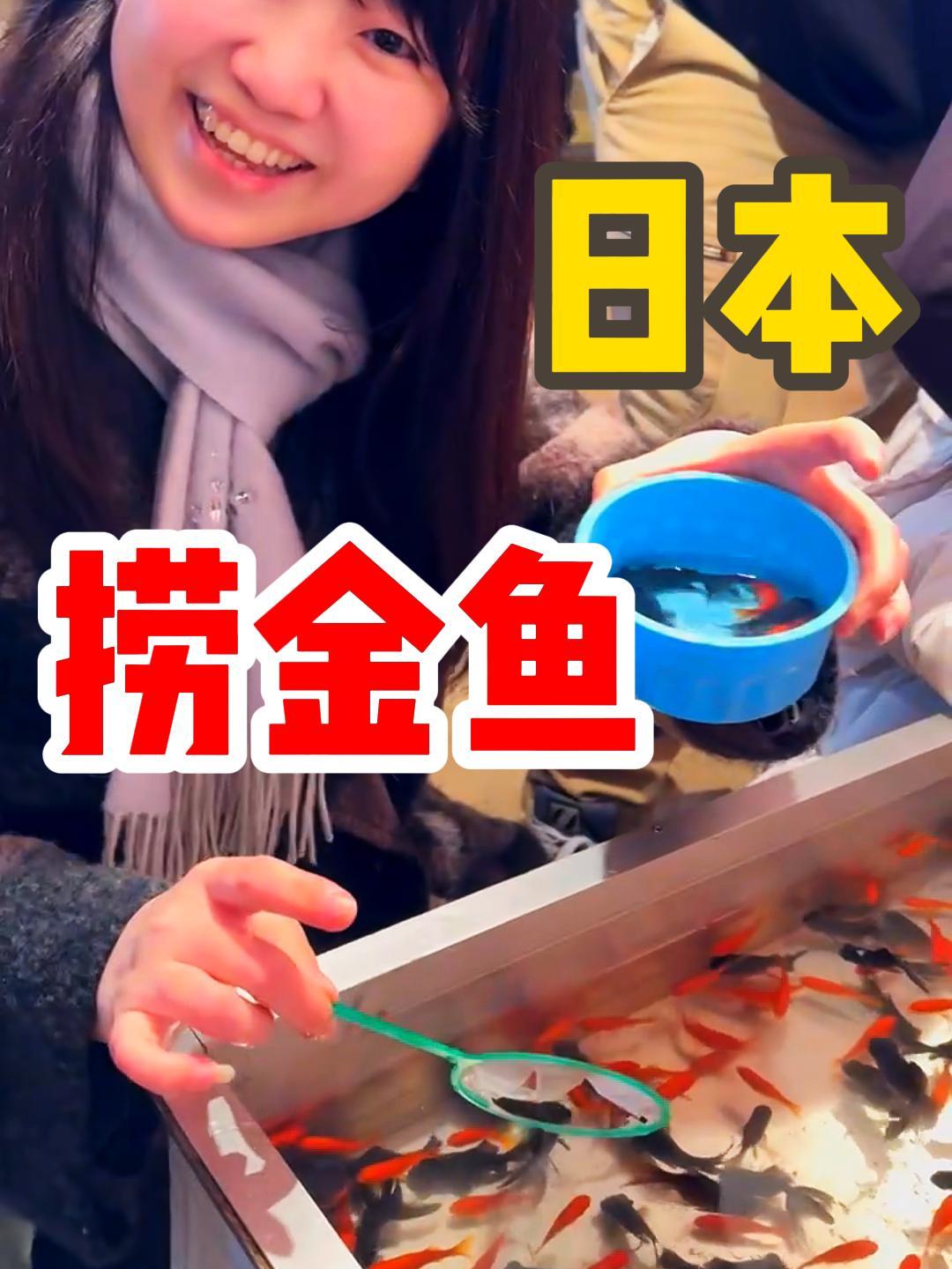 来日本旅游一定要捞一次金鱼,太好玩儿了