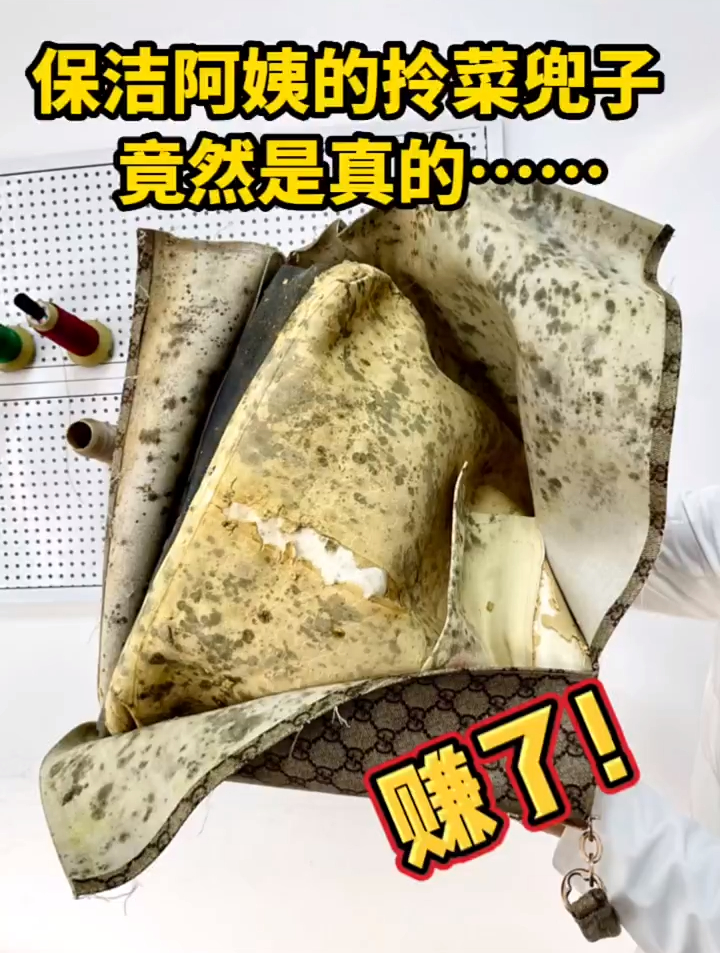 赚了!保洁阿姨的拎菜兜子竟然是真的!
