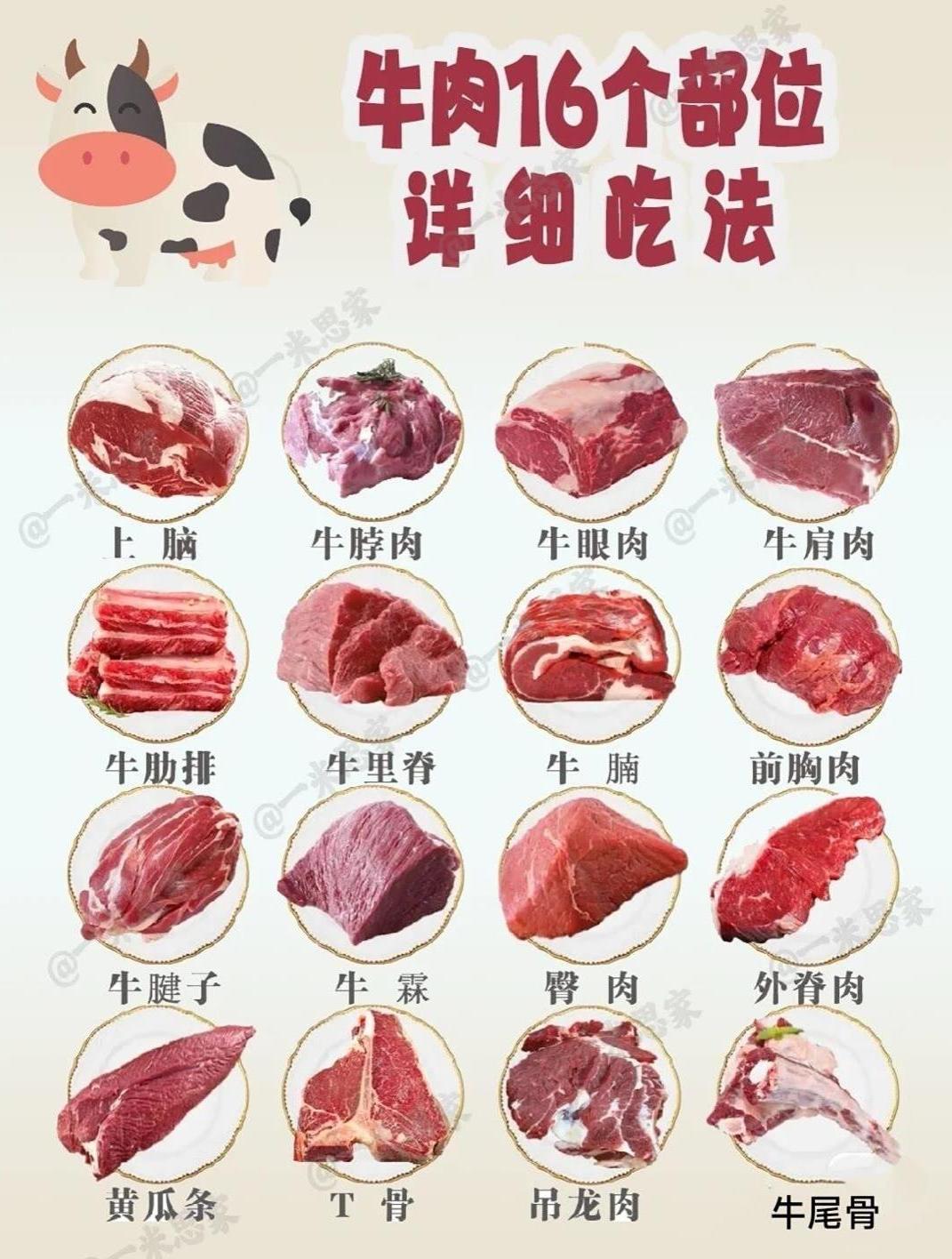 分享牛肉的16各部位的吃法,喜欢记得收藏→