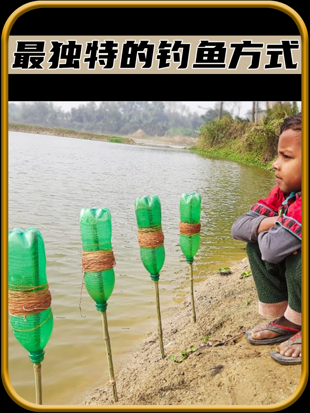 年度最佳钓鱼视频