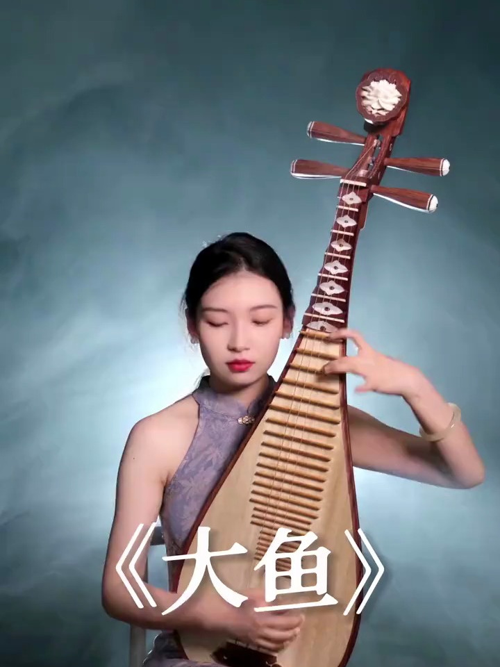 感受东方古典意境～琵琶演奏,琵琶教学《大鱼》
