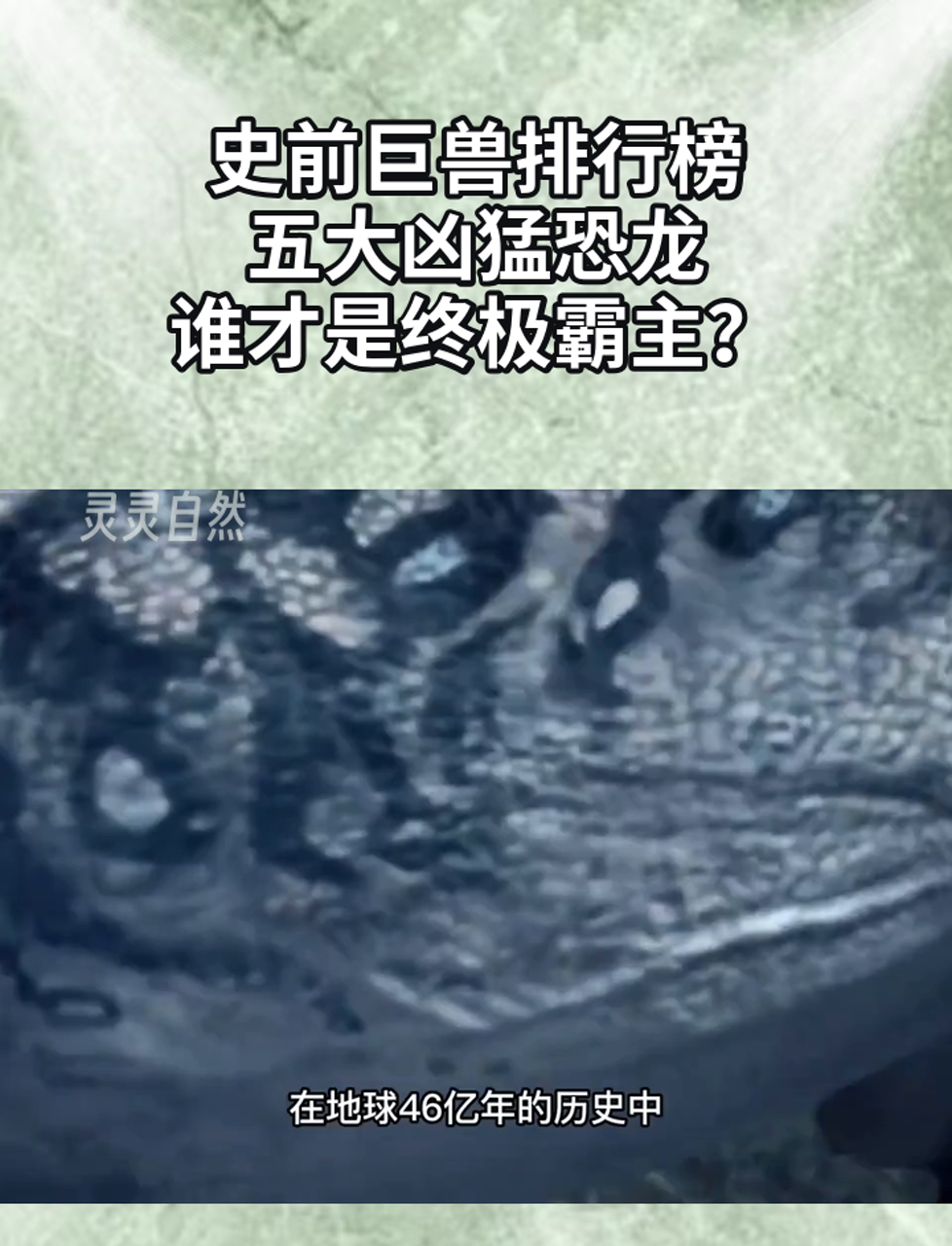 史前巨兽排行榜,五大凶猛恐龙,谁才是终极霸主?