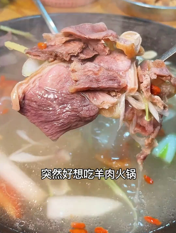 浪计划长沙的洞氮胡记羊肉馆,羊肉爱好者一定要吃