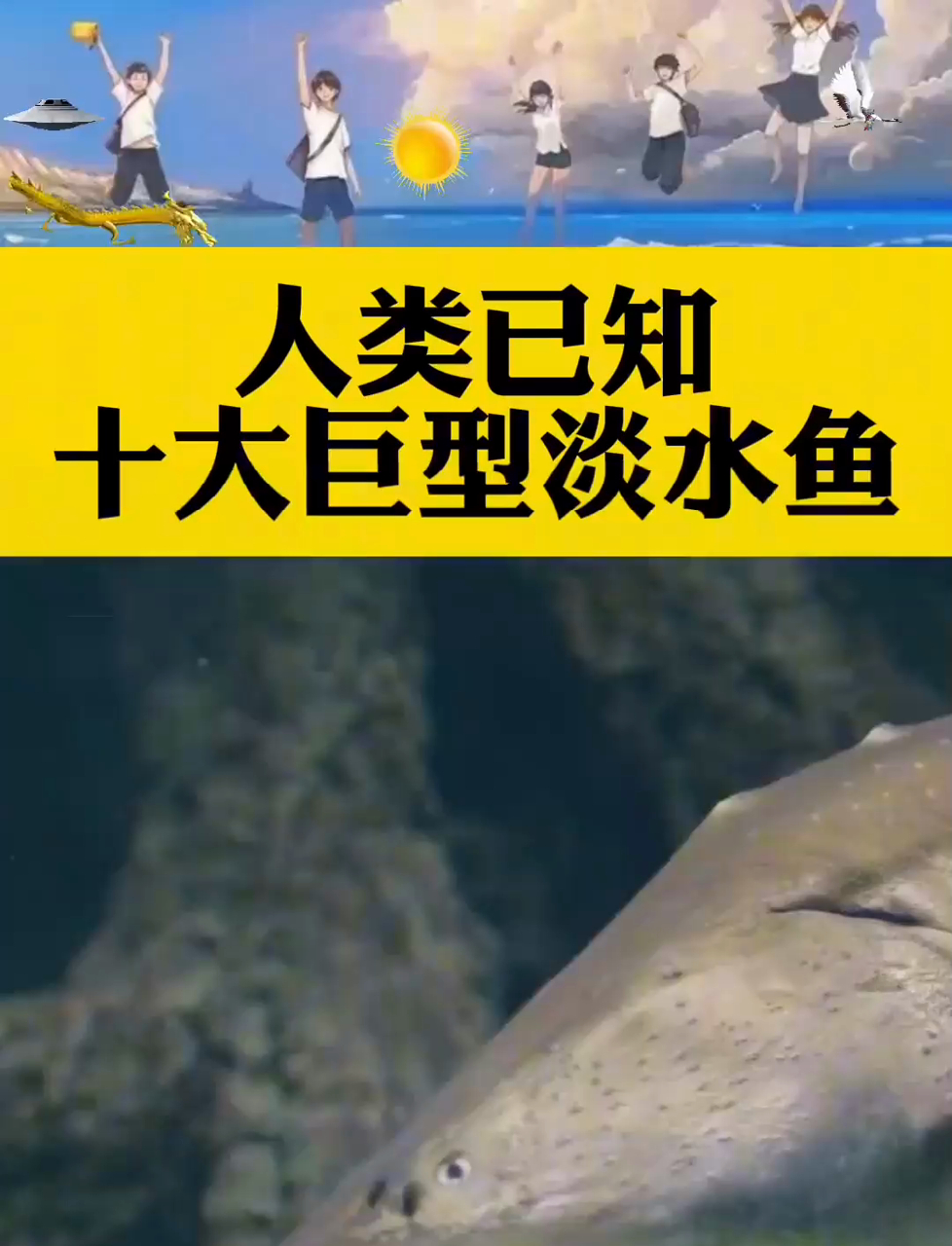 人类已知的十大巨型淡水鱼!太震撼