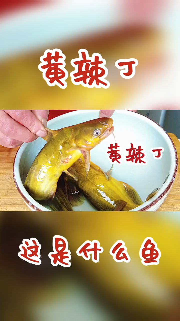 鲜香浓郁的黄辣丁炖豆腐,其实做法超简单,浓郁鲜香营养又好吃