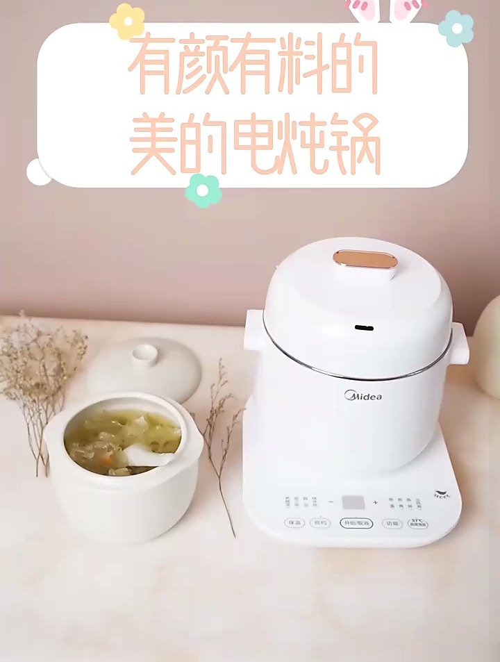有颜有料美的电炖盅