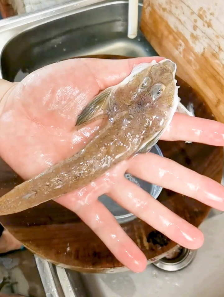 这样烧出来的箭头鱼,味道简直太棒了,赶紧学着做起来吧!