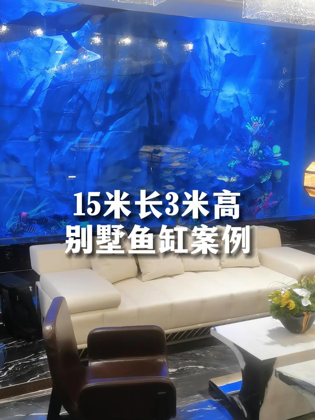 长15米高3米别墅鱼缸,一整面墙的海底世界