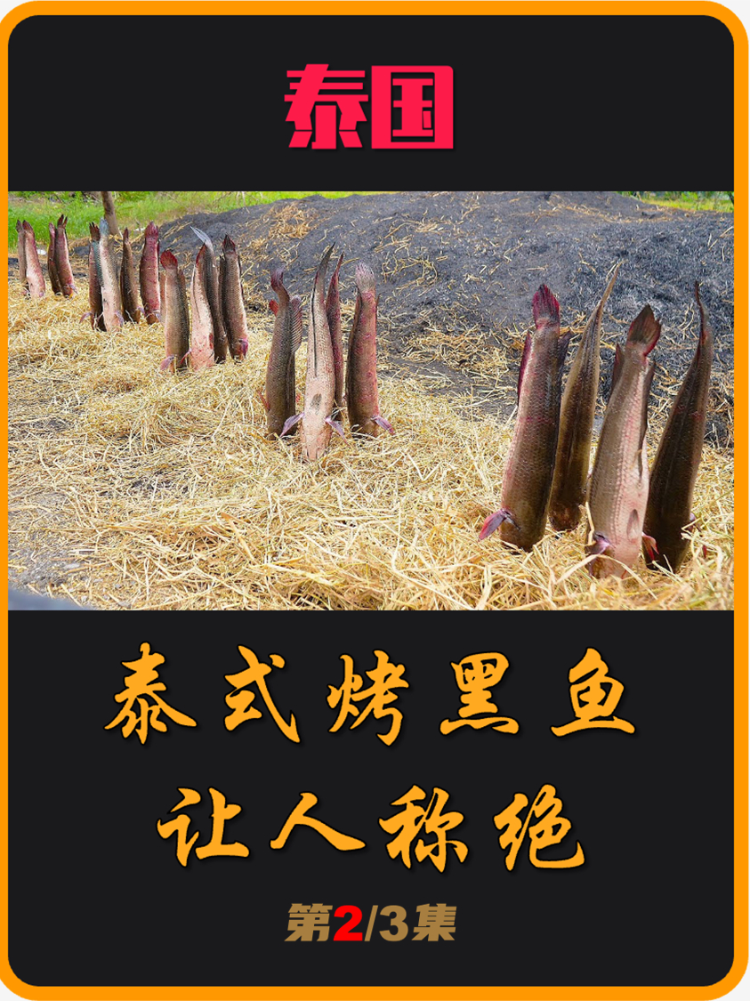 黑鱼的泰式吃法,方法简单粗暴,绝对让你眼前一亮!(02)