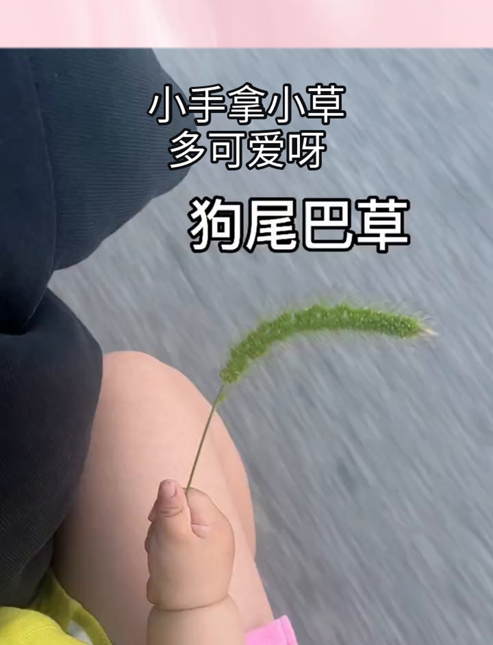 小手拿小草,多可爱呀