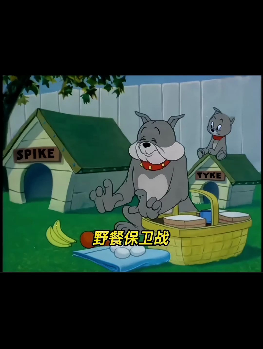 斯派克和儿子的野餐保卫战