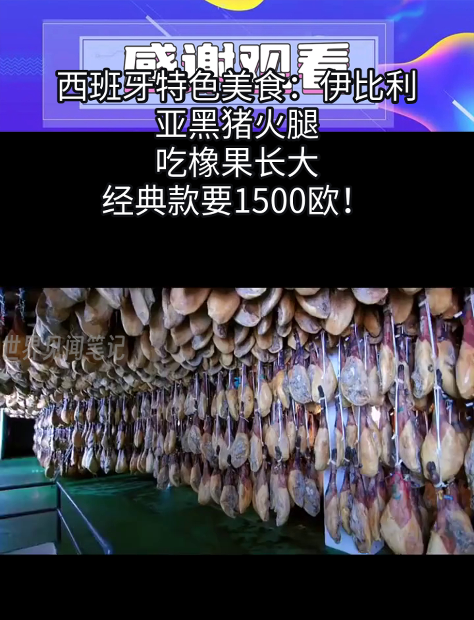 西班牙特色美食:伊比利亚黑猪火腿,吃橡果长大,经典款要1500欧!